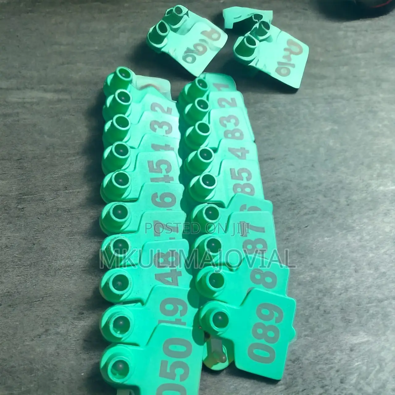 Green Cattle, Sheep and Goats Ear Tags Medium