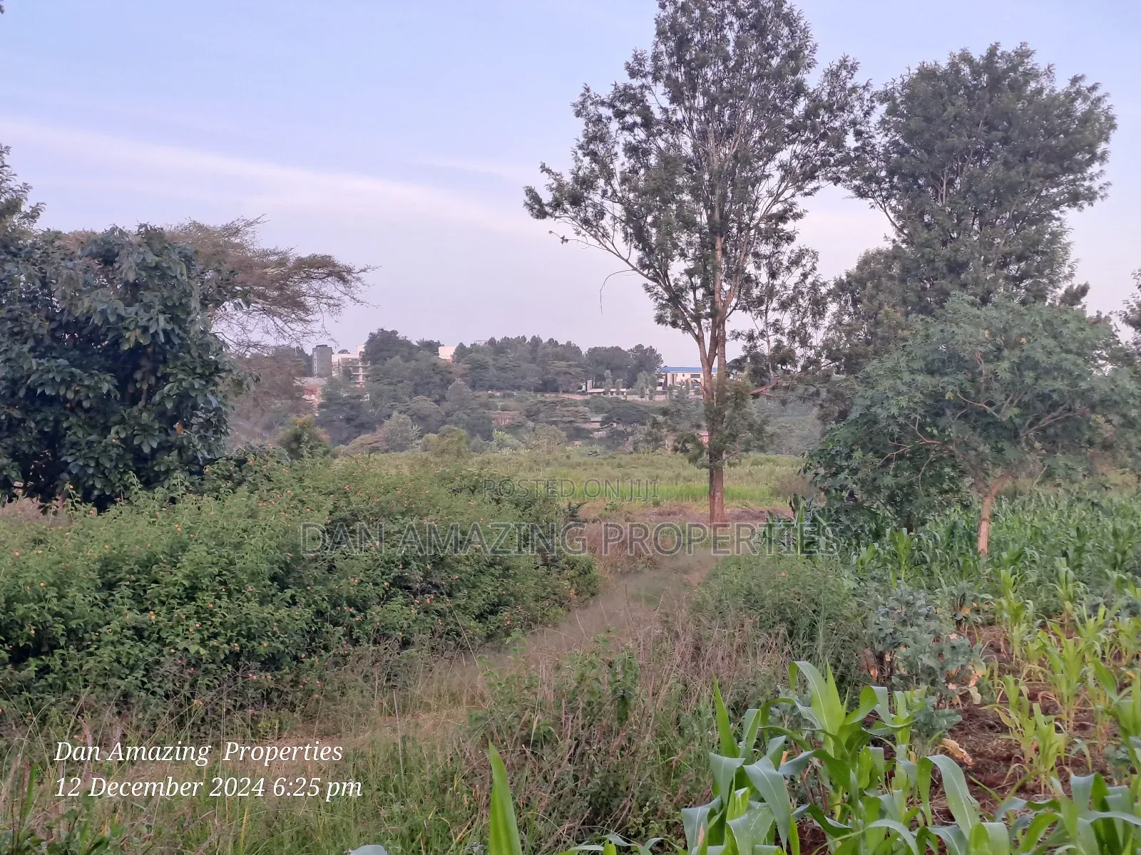 14 Acres Kerarapon Drive for Sale as Block 200mts FRM Tarmac