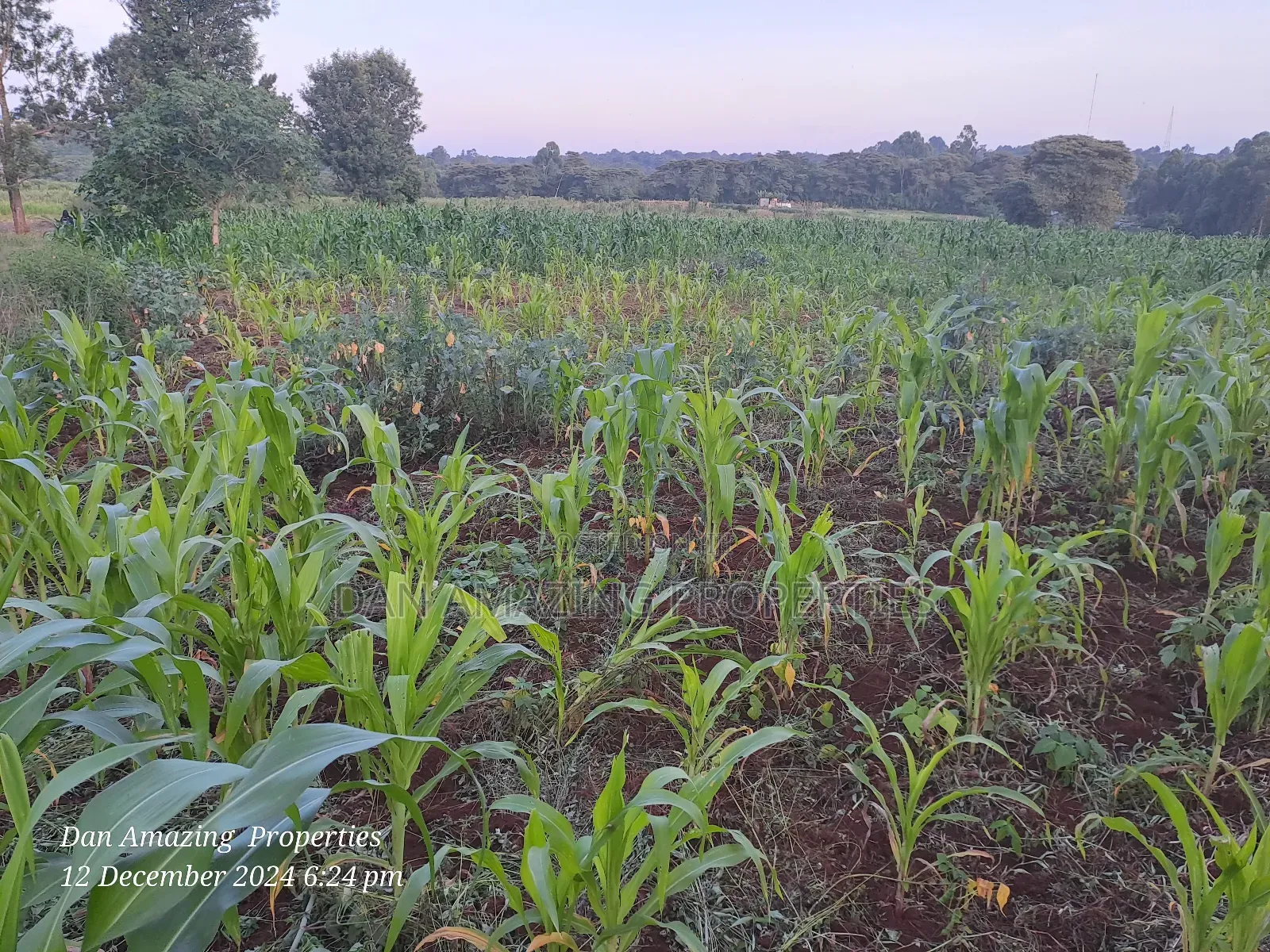 14 Acres Kerarapon Drive for Sale as Block 200mts FRM Tarmac