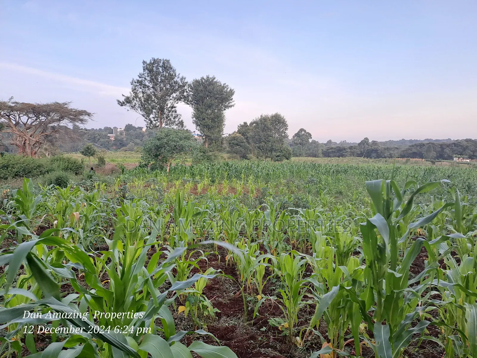 14 Acres Kerarapon Drive for Sale as Block 200mts FRM Tarmac