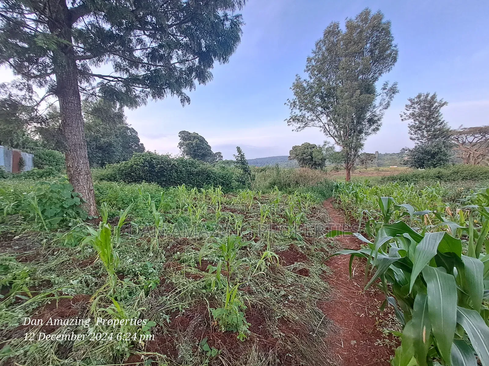 14 Acres Kerarapon Drive for Sale as Block 200mts FRM Tarmac