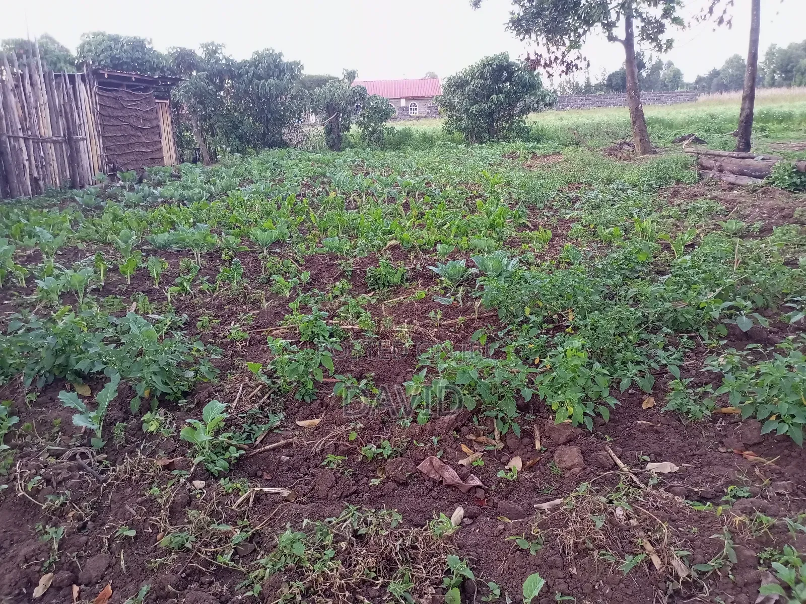 One Acre for Sale in Wanyororo Lanet