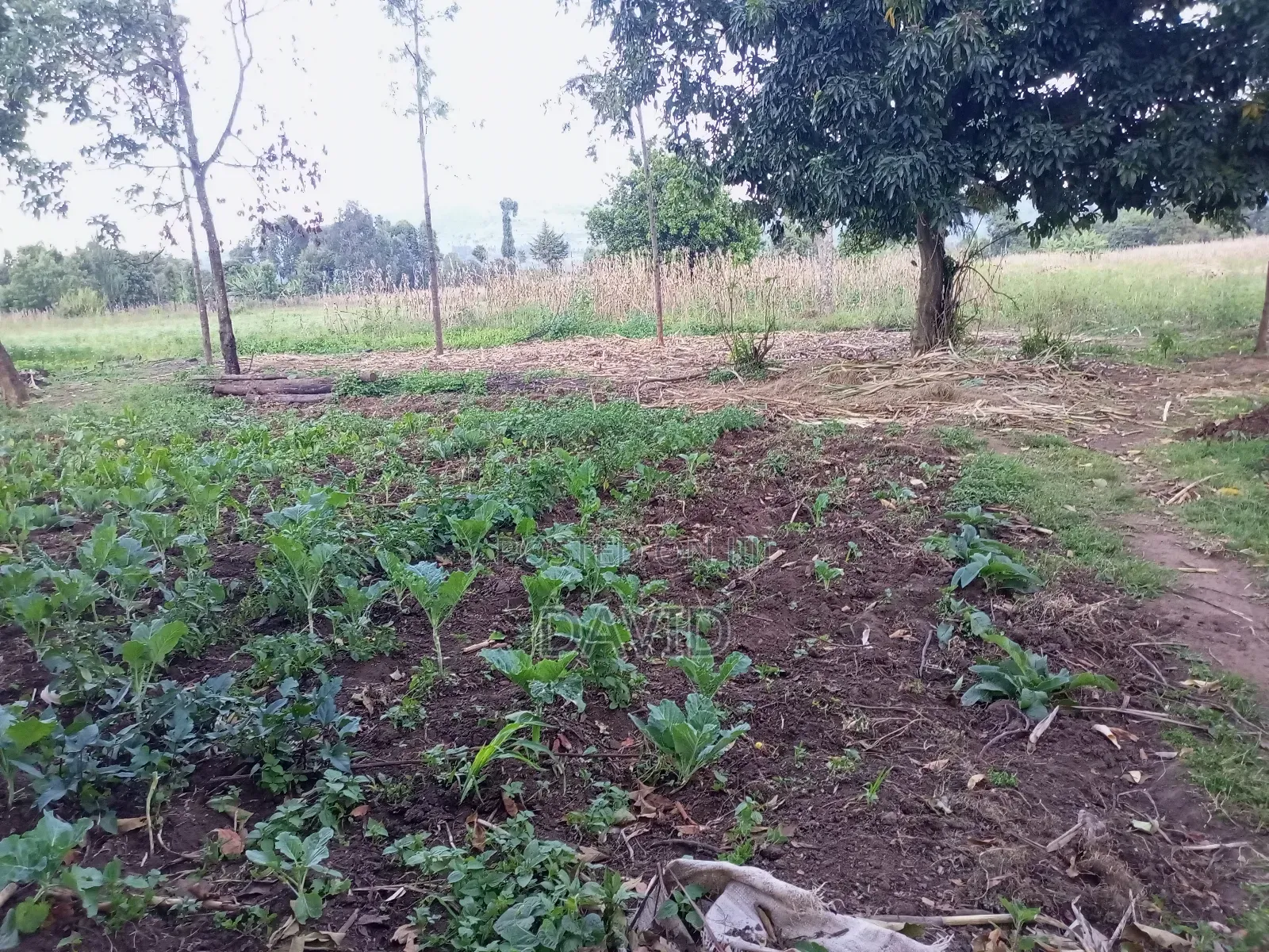 One Acre for Sale in Wanyororo Lanet