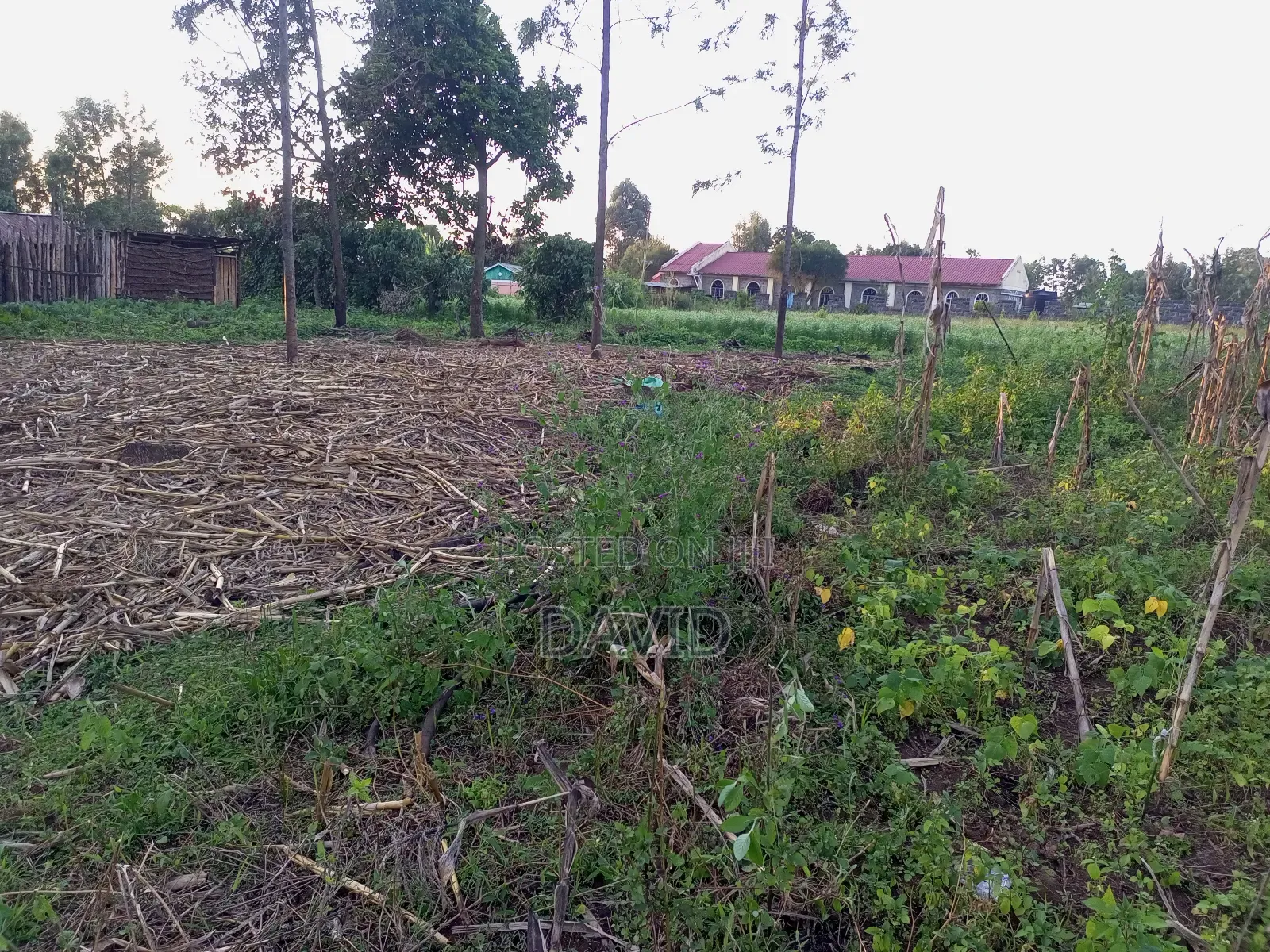 One Acre for Sale in Wanyororo Lanet
