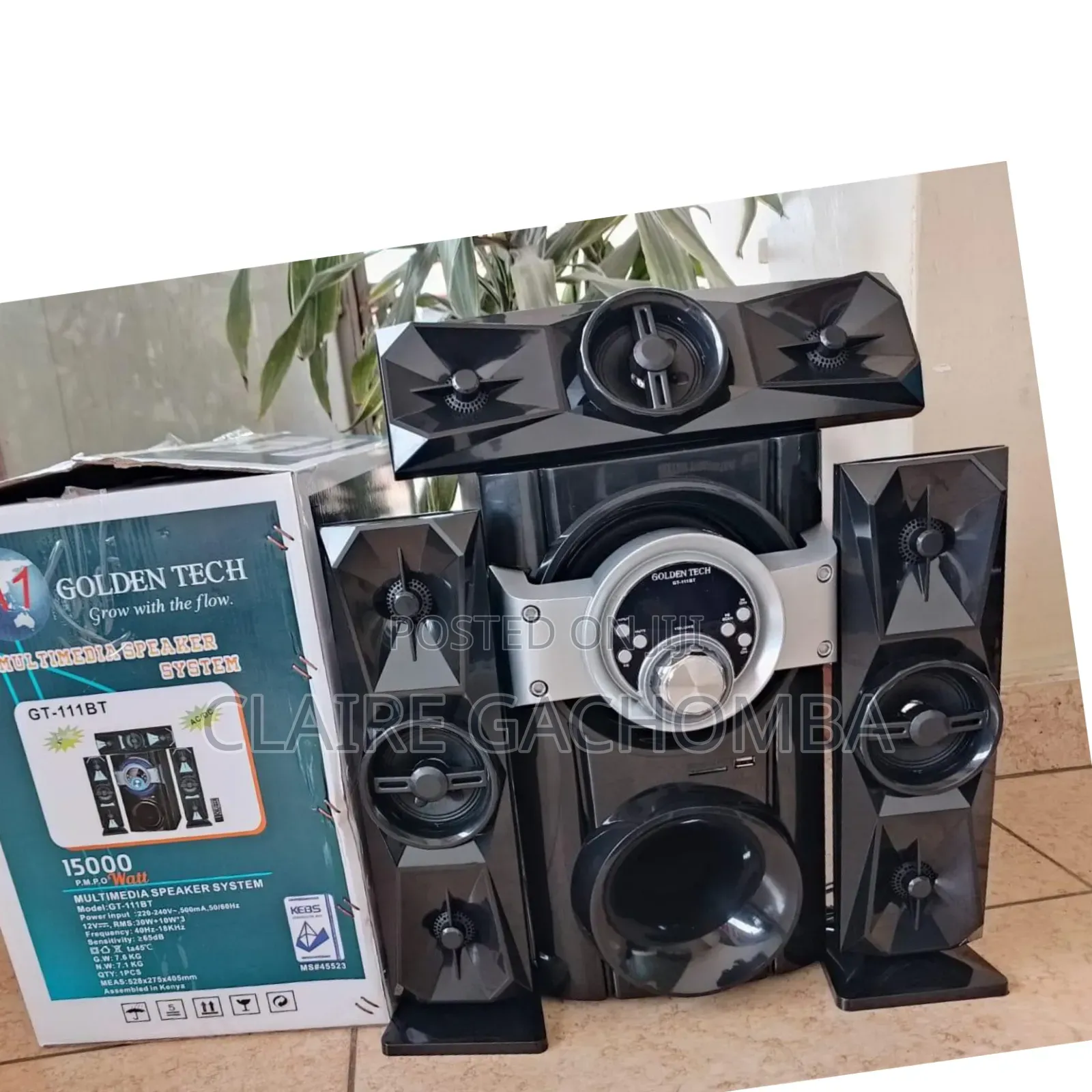 Black 3.1 Golden Tech Multimedia Speaker