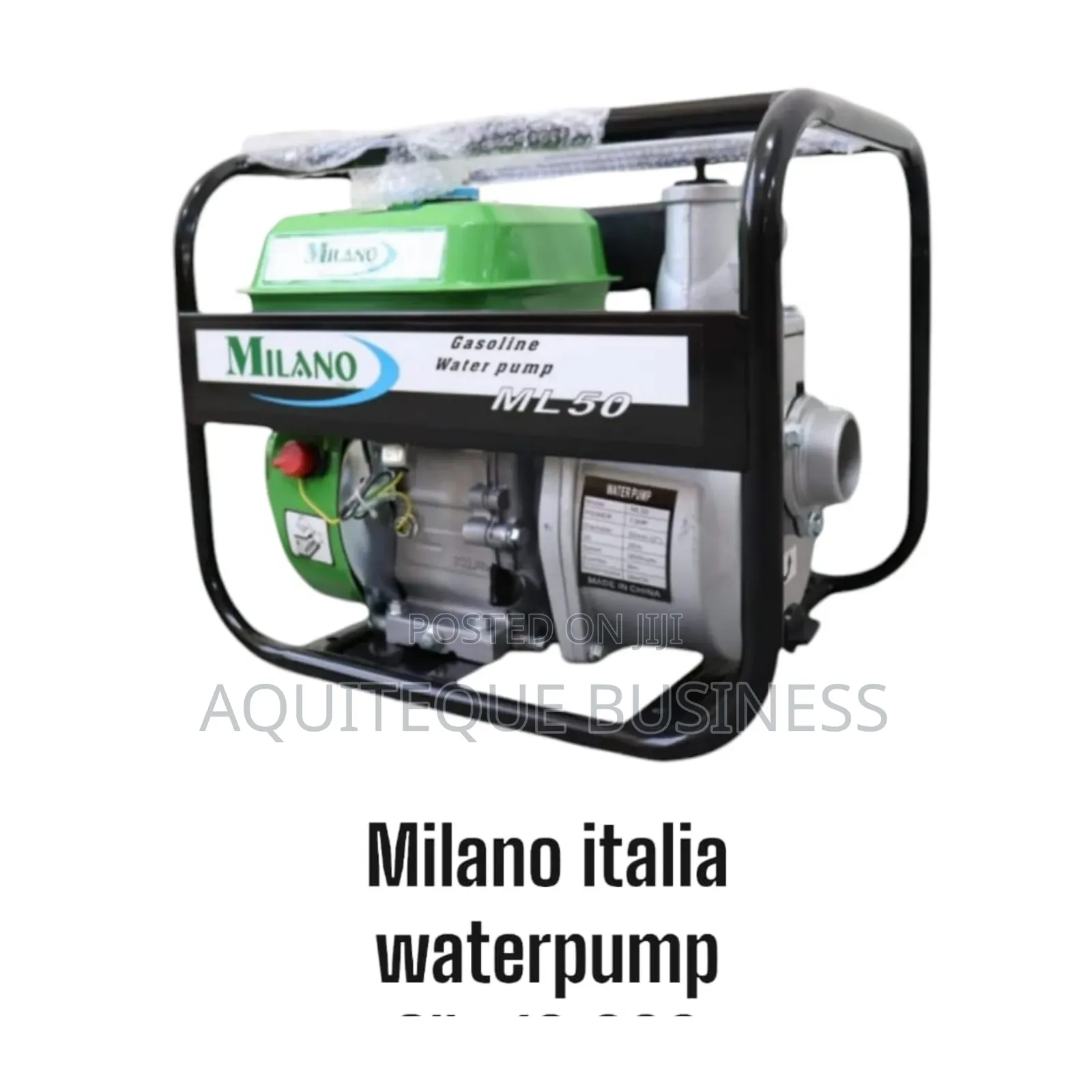 Water Pump- Milano Italy