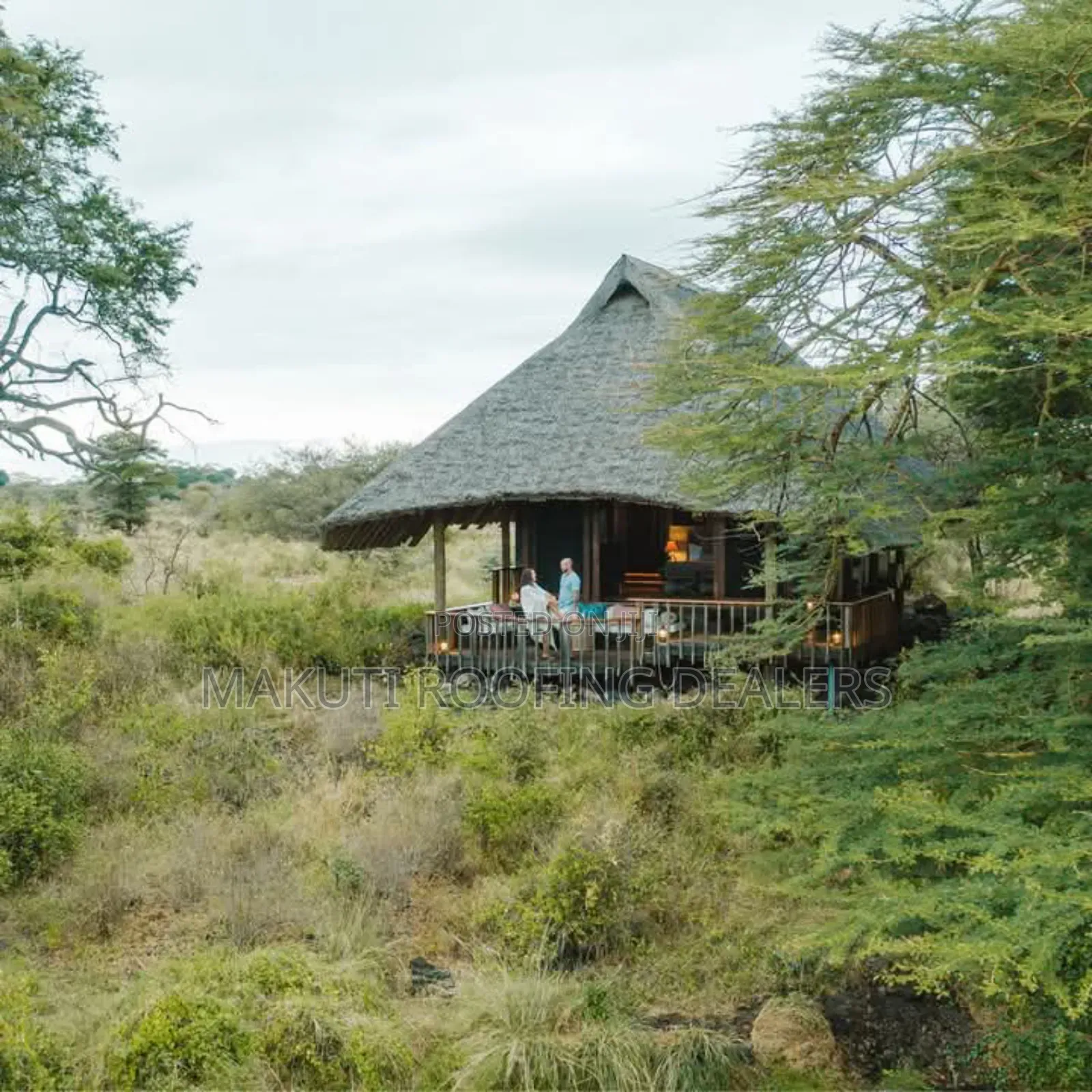 Makuti Dealer in Amboseli