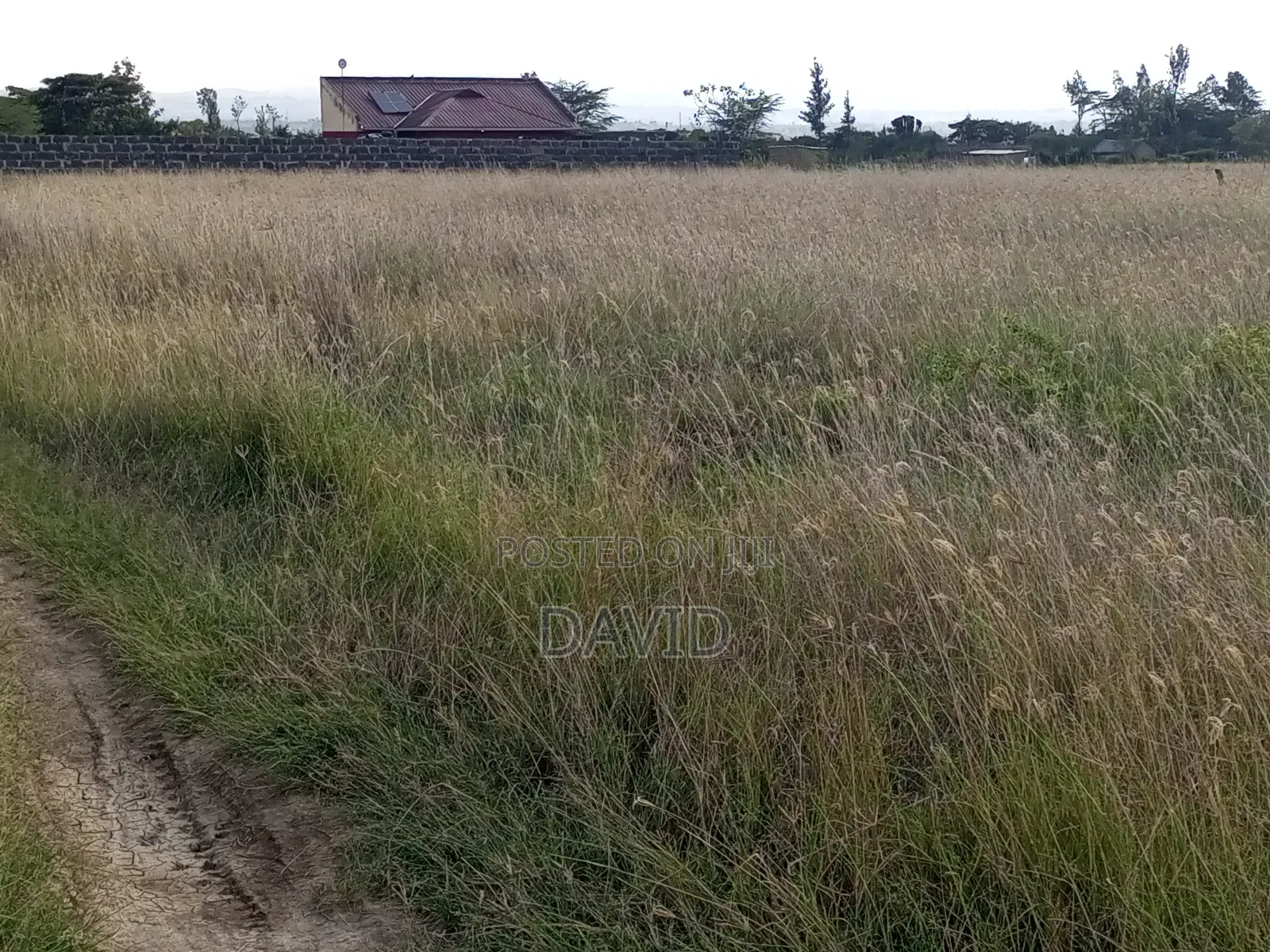 Plot for Sale in Mutaita