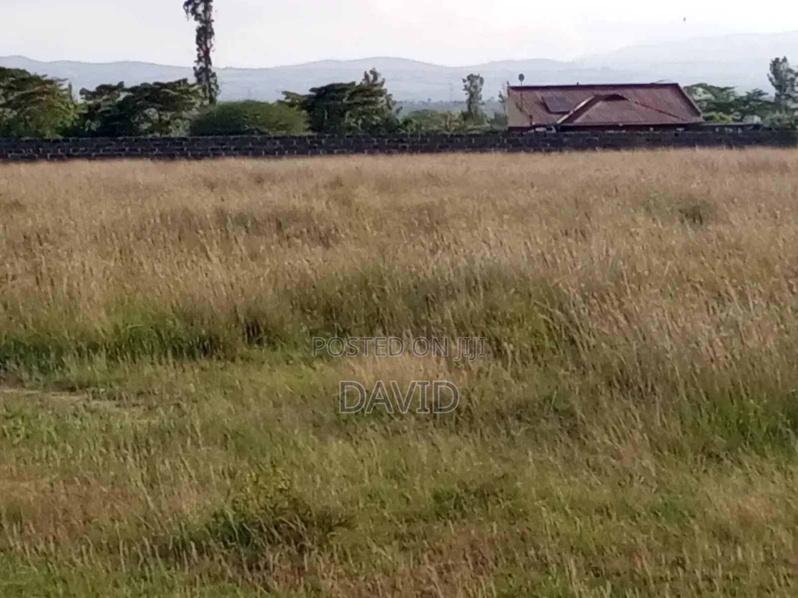 Plot for Sale in Mutaita