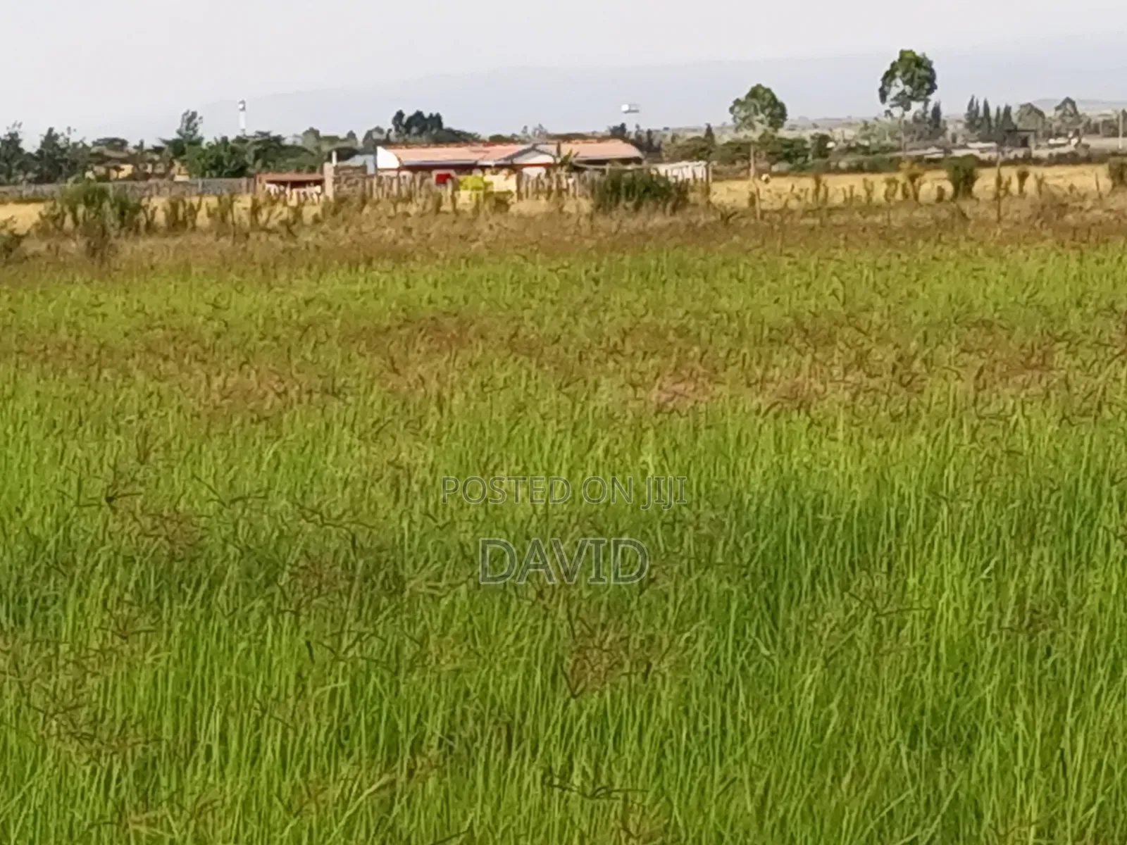 Plot for Sale in Mutaita