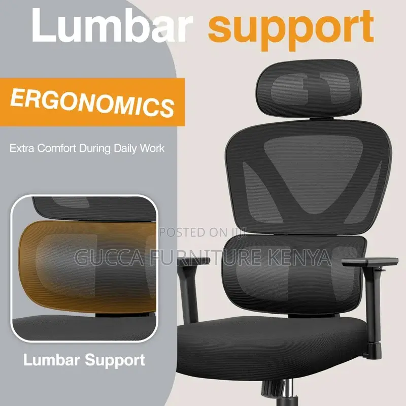 Office Chairs: Orthopedic High Back Reclining Boss Chair