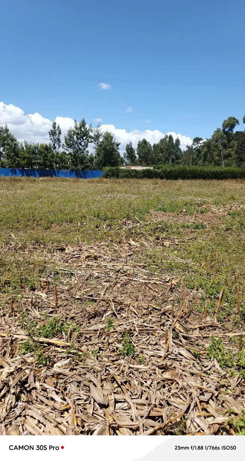 1/8plots and 1/4plots Chepkanga Ideal for Residential.