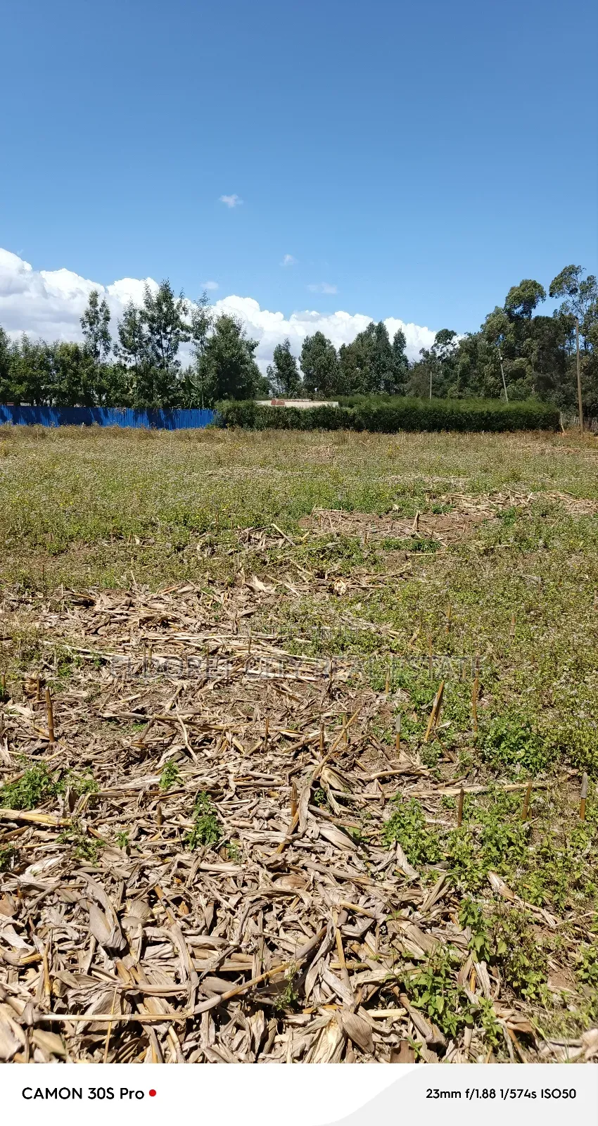 1/8plots and 1/4plots Chepkanga Ideal for Residential.