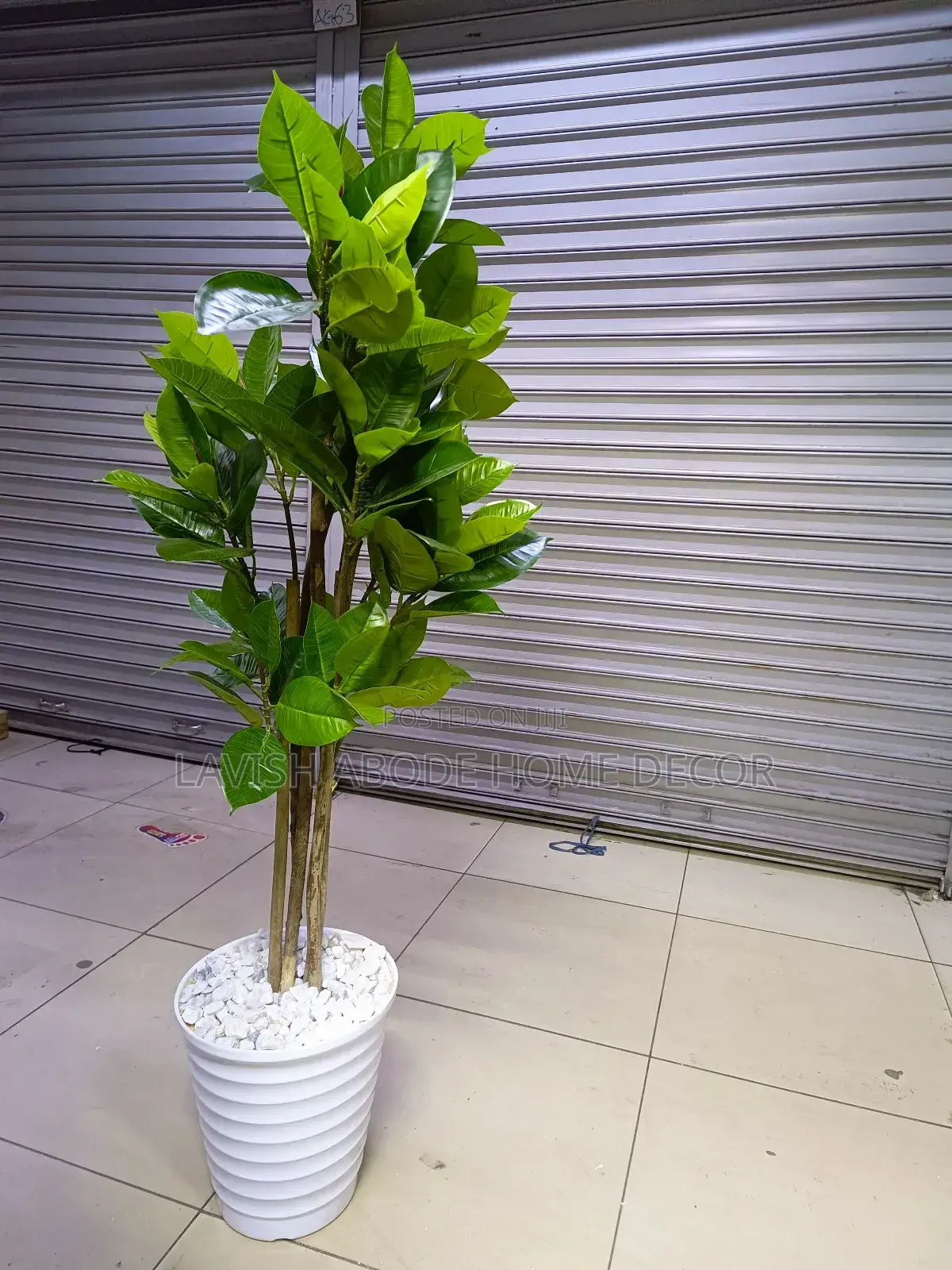 Artificial Rubber Plant Indoor and Outdoor Plastic Plant