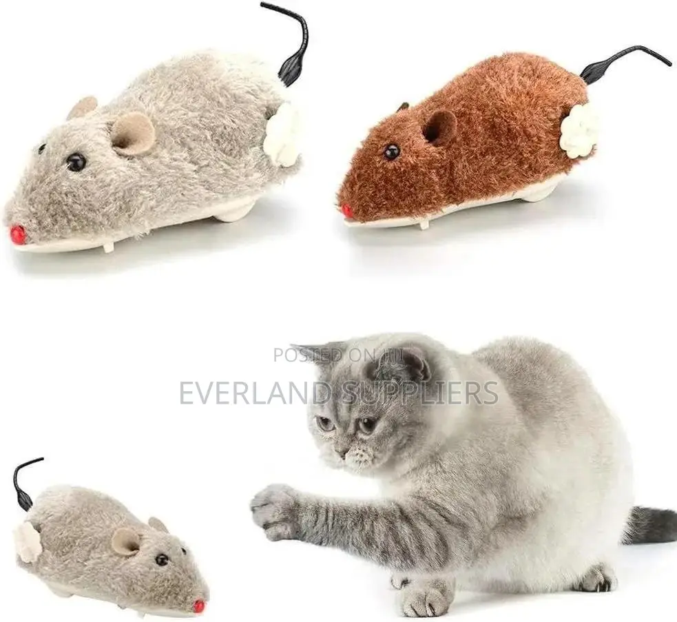 Squeaky Mouse Toys