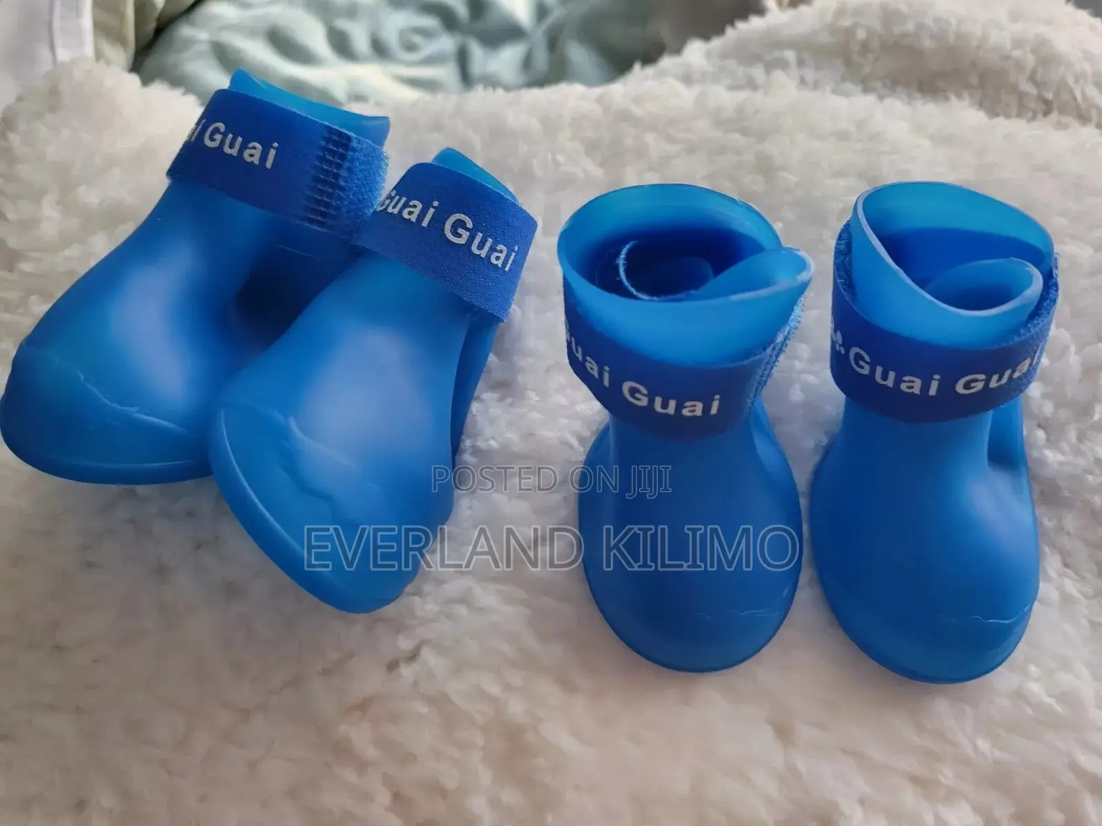 Dog Shoes - Medium