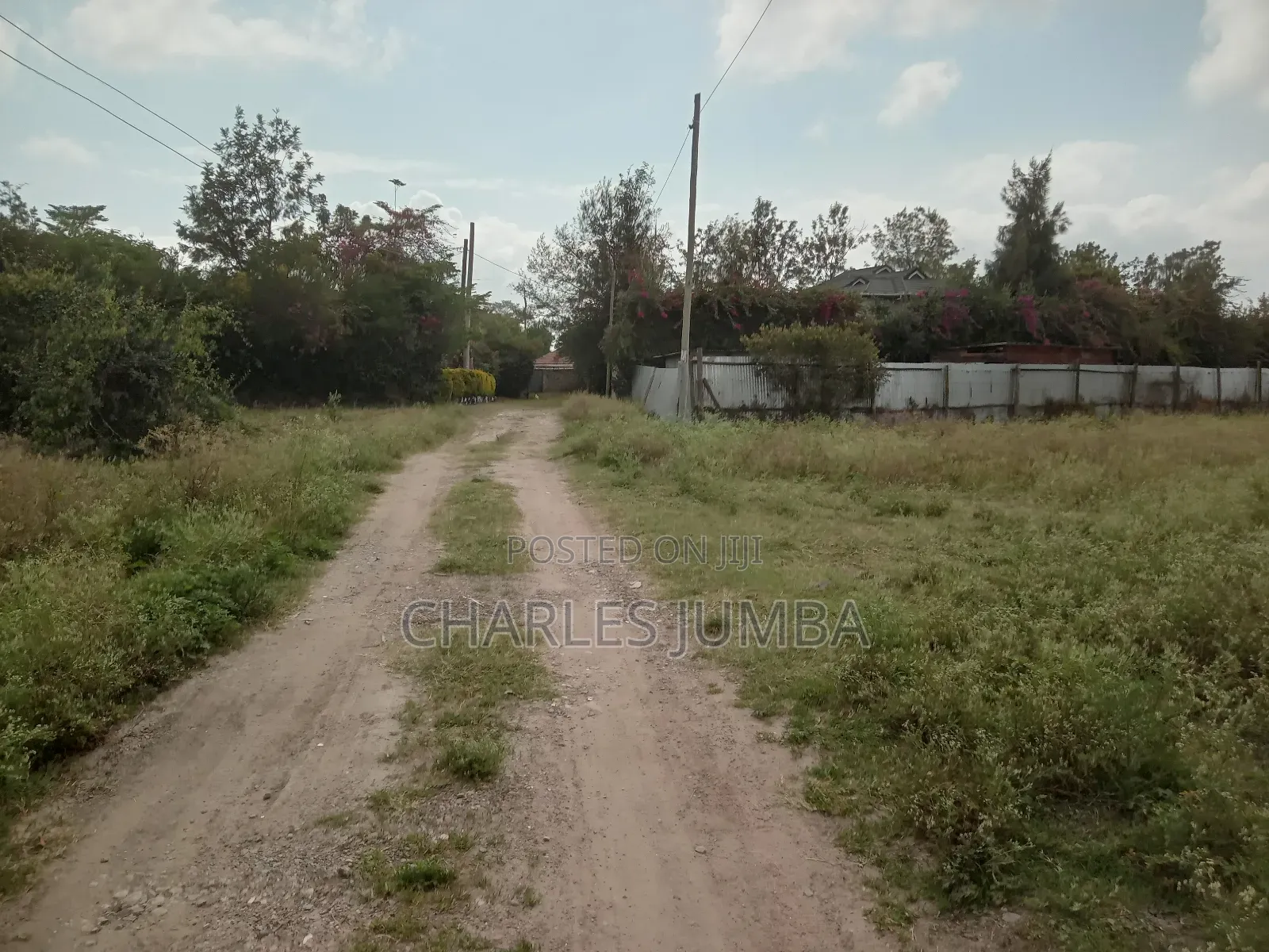 Prime 1/4 Plot in Milimani
