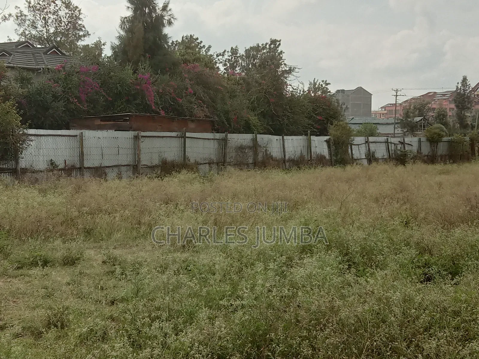 Prime 1/4 Plot in Milimani