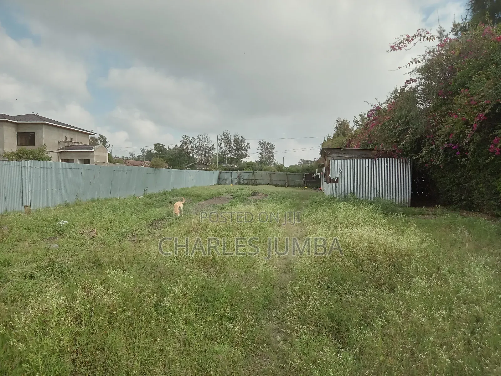 Prime 1/4 Plot in Milimani