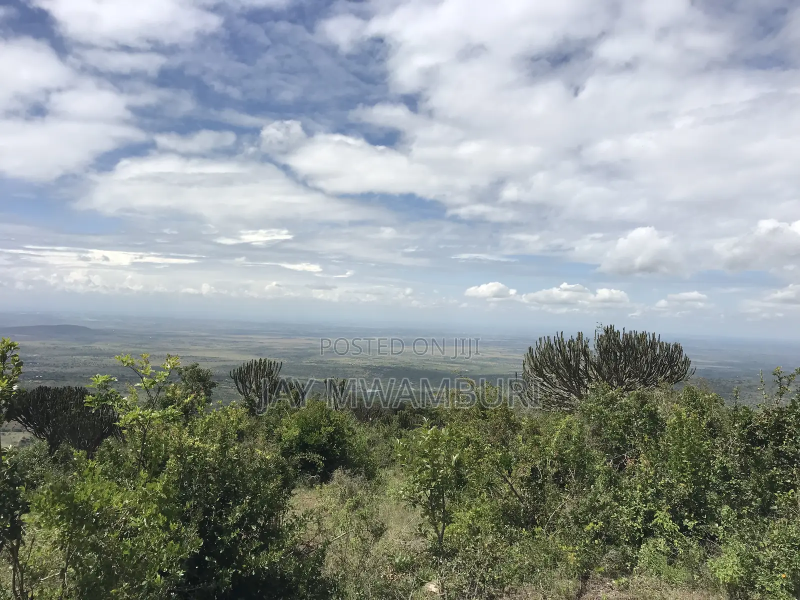 Iconic 1 Acre 1/2 Mua Hill