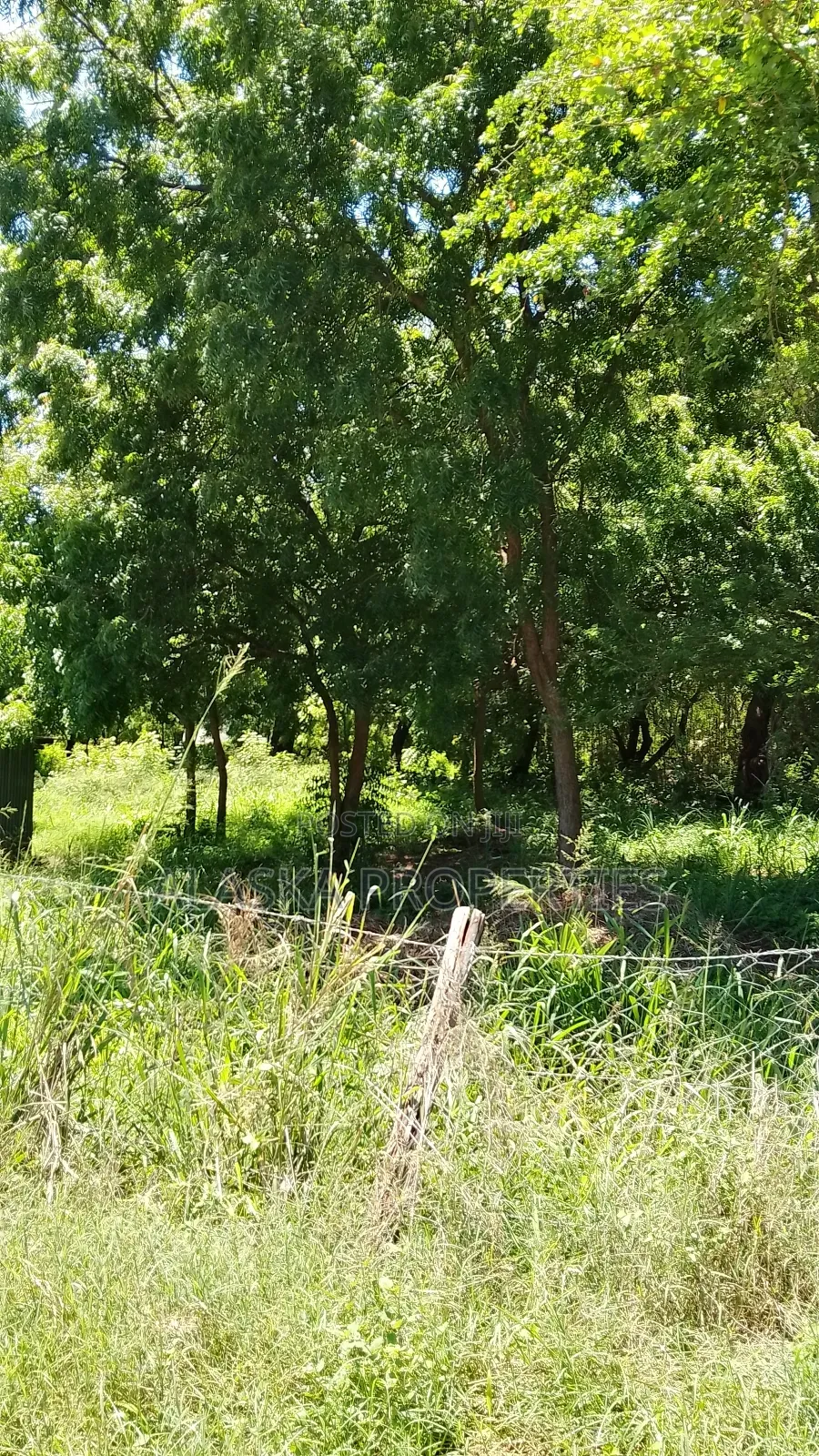 2 Acres for Sale in Nyali Green Wood Estate