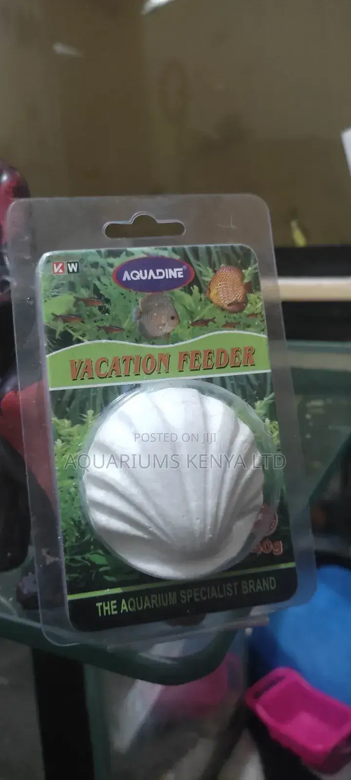 Fish Tank Feeders For Holidays