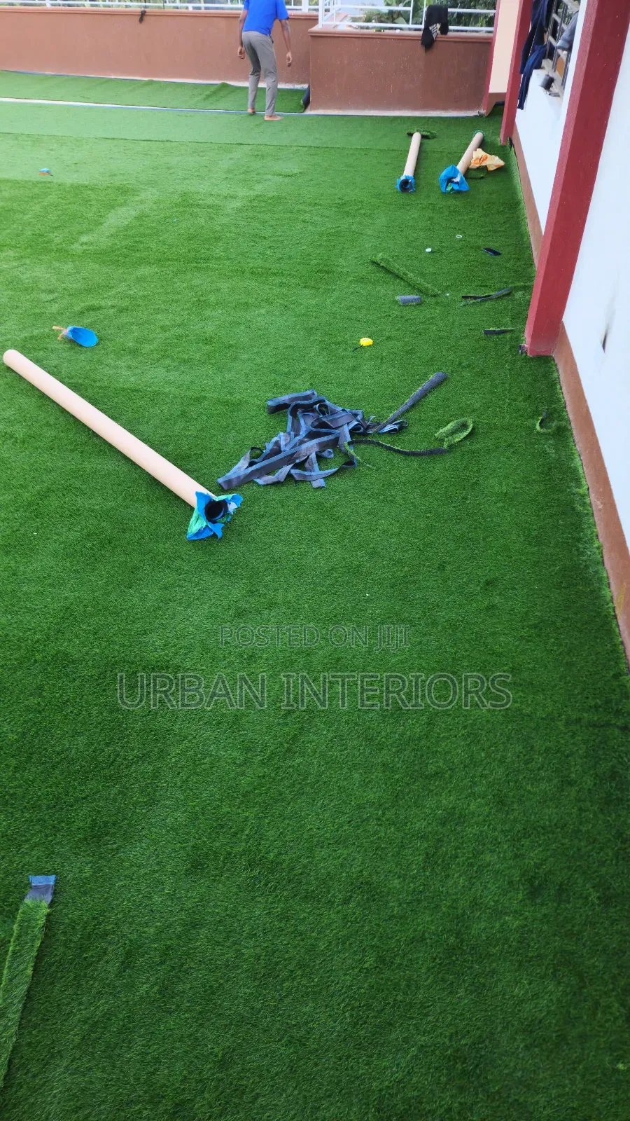 Turf Grass Turf Grass