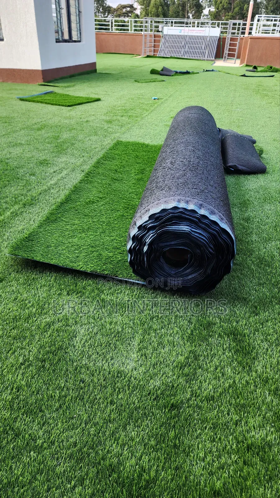 Grass Carpet Grass Carpet