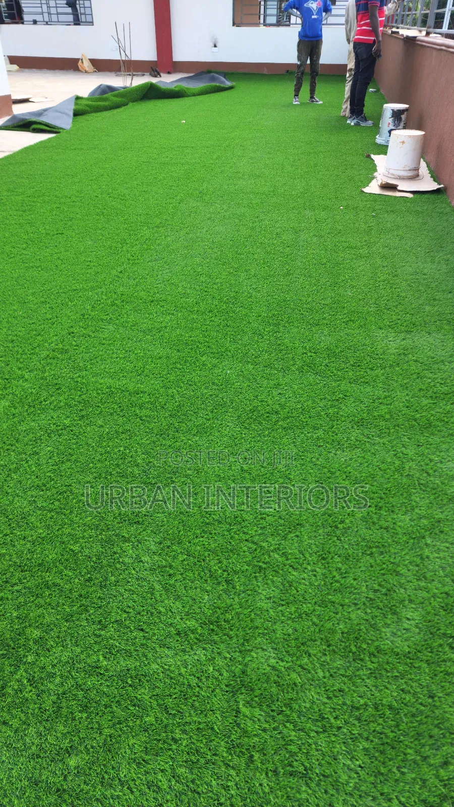 Grass Carpet Grass Carpet