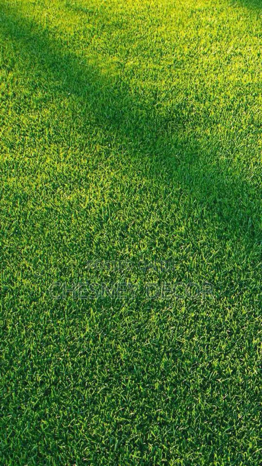 GREEN Artificial Grassy Carpetts