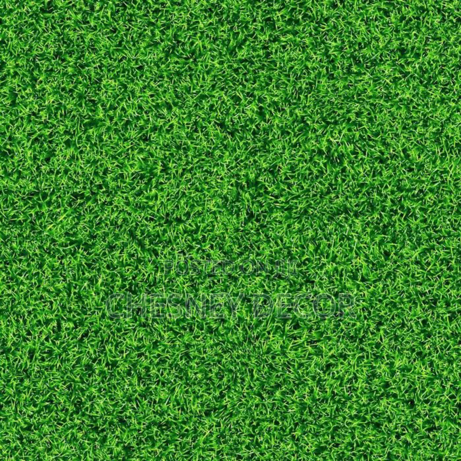 Seamless Grass Carpeta