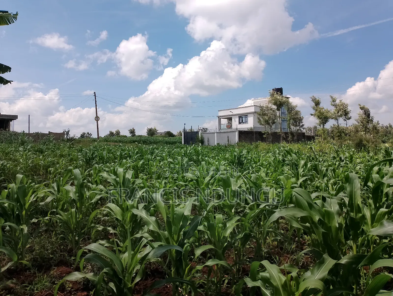 Residential Plots Just 4 Km From Kirigiti Town Near Migaa