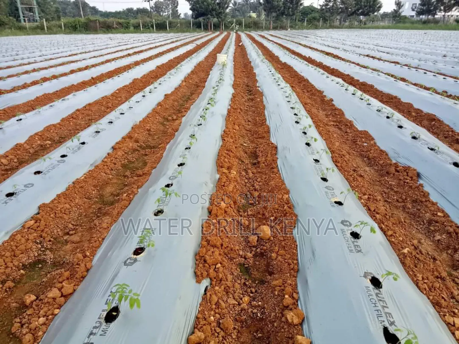 Agro Farm Consulting
