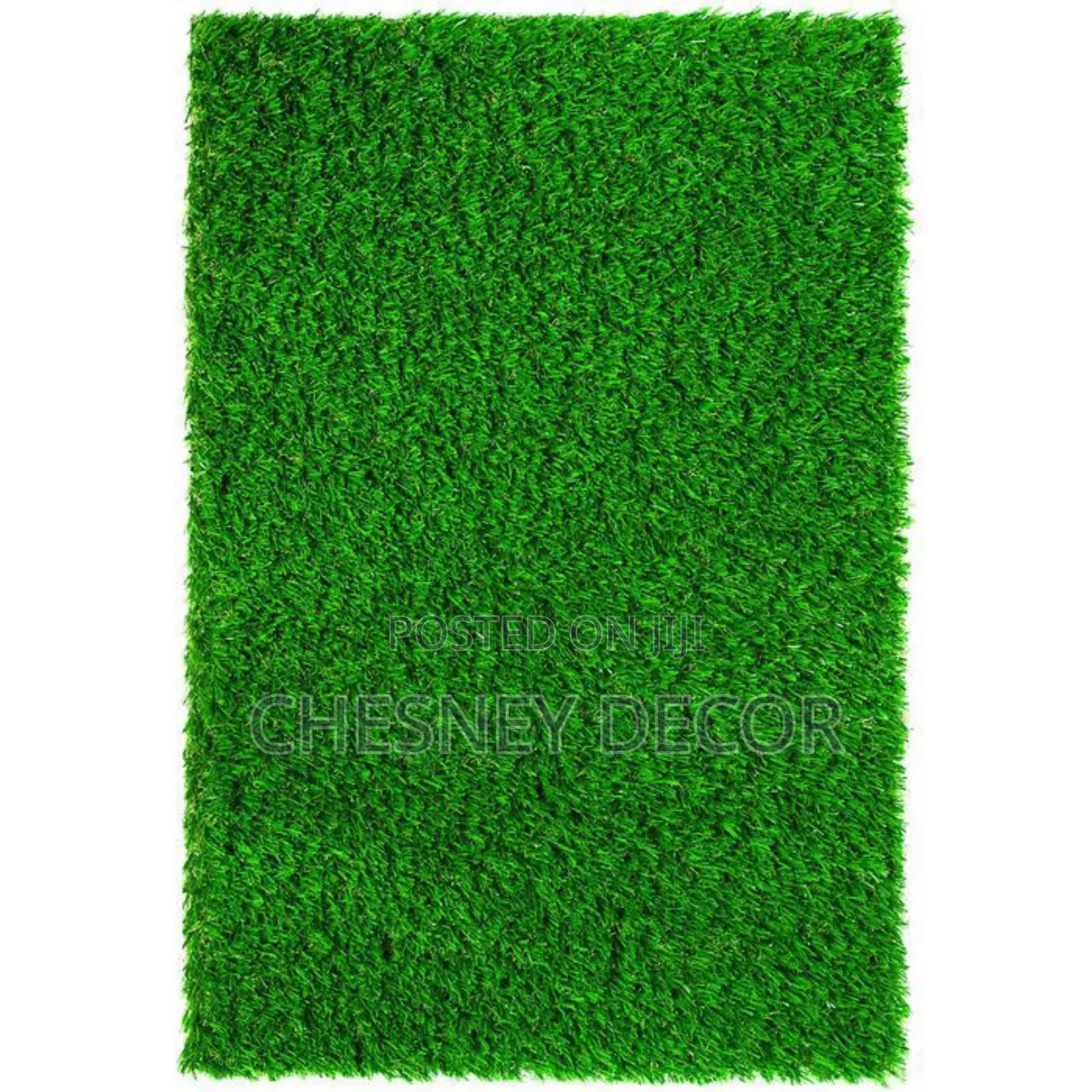 Welcome Rug/Mat