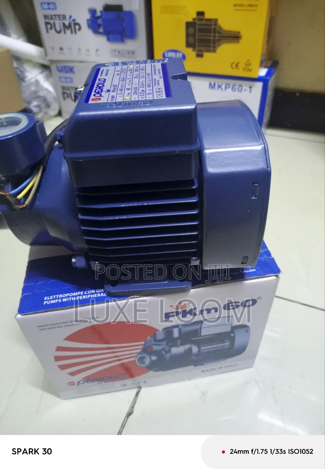 0.5hp Water Pump/ Pedrollo Water Pump
