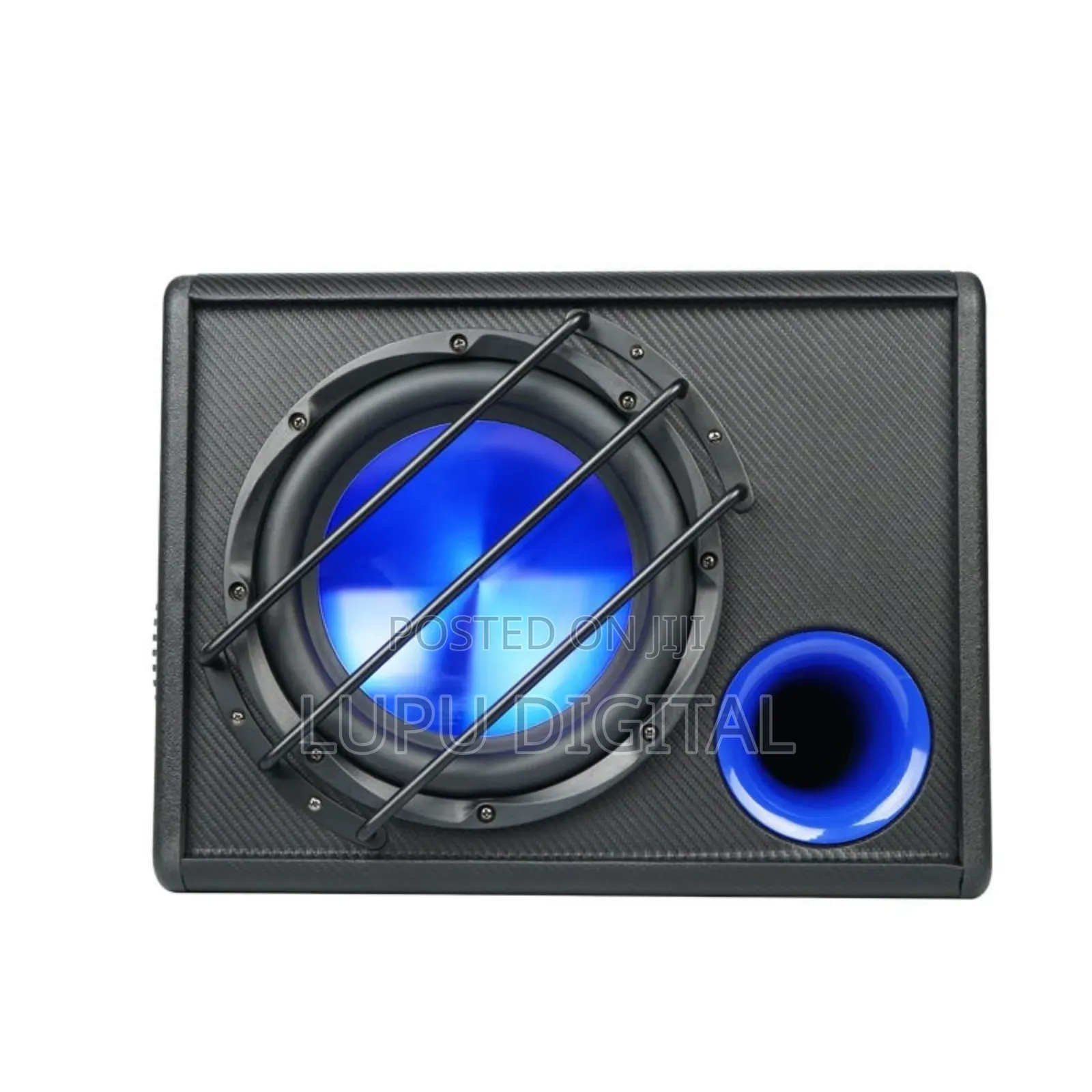 10 Inch Amplified Subwoofer