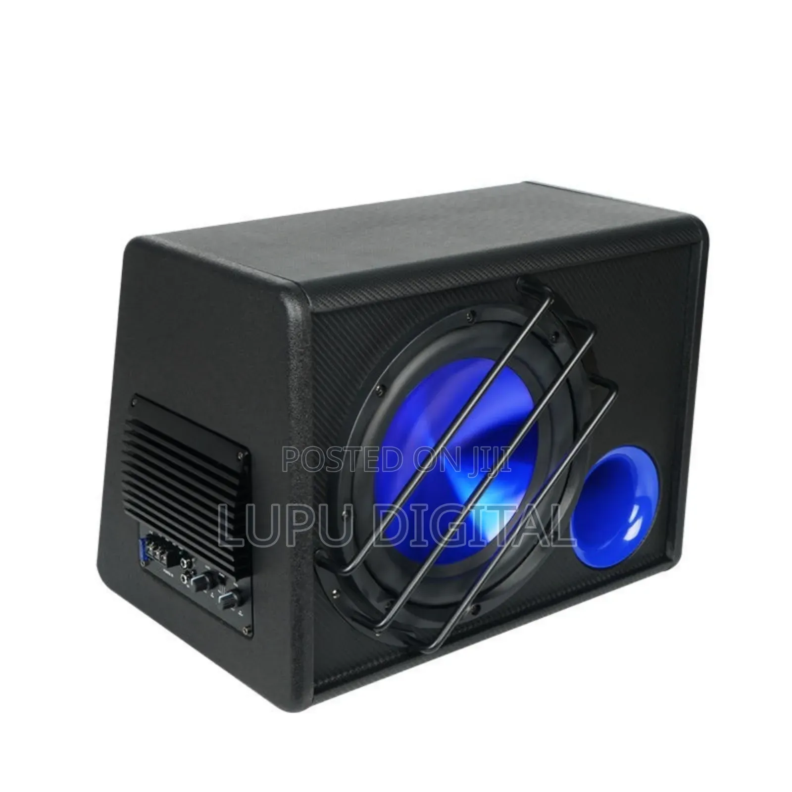 10 Inch Amplified Subwoofer