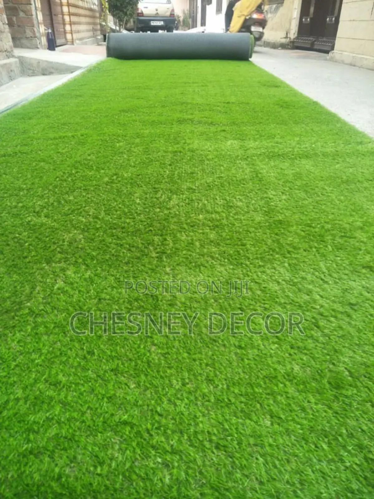 Evergreen Backyard