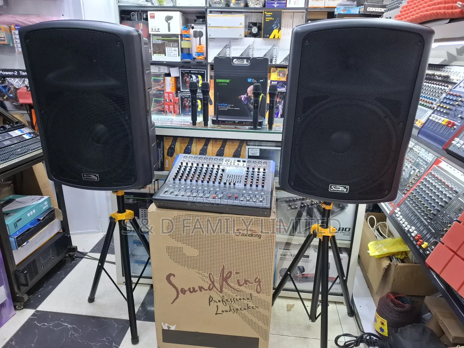 SOUNDKING Public Adress System Set