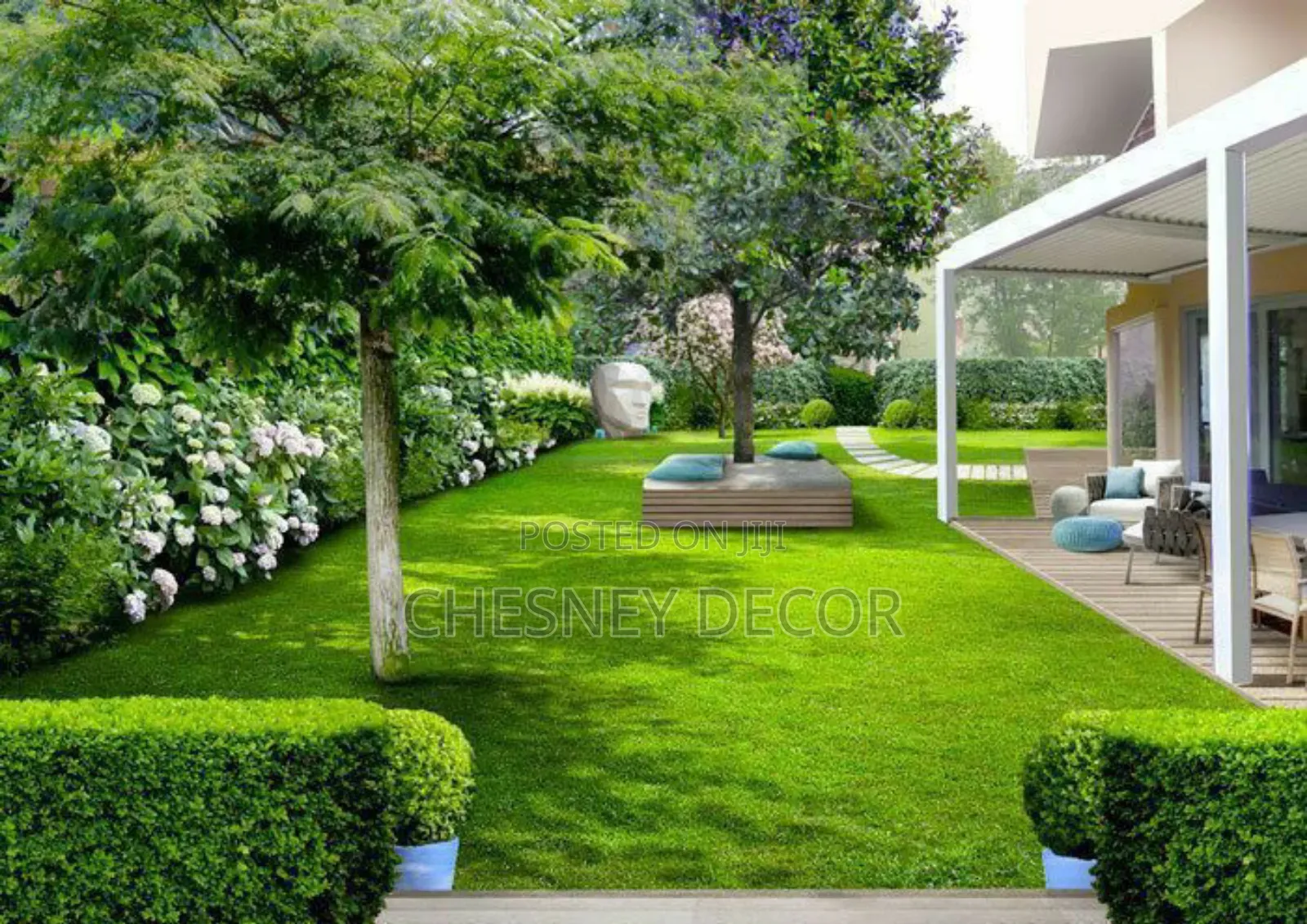 Replacement for Water-Thirsty Lawns