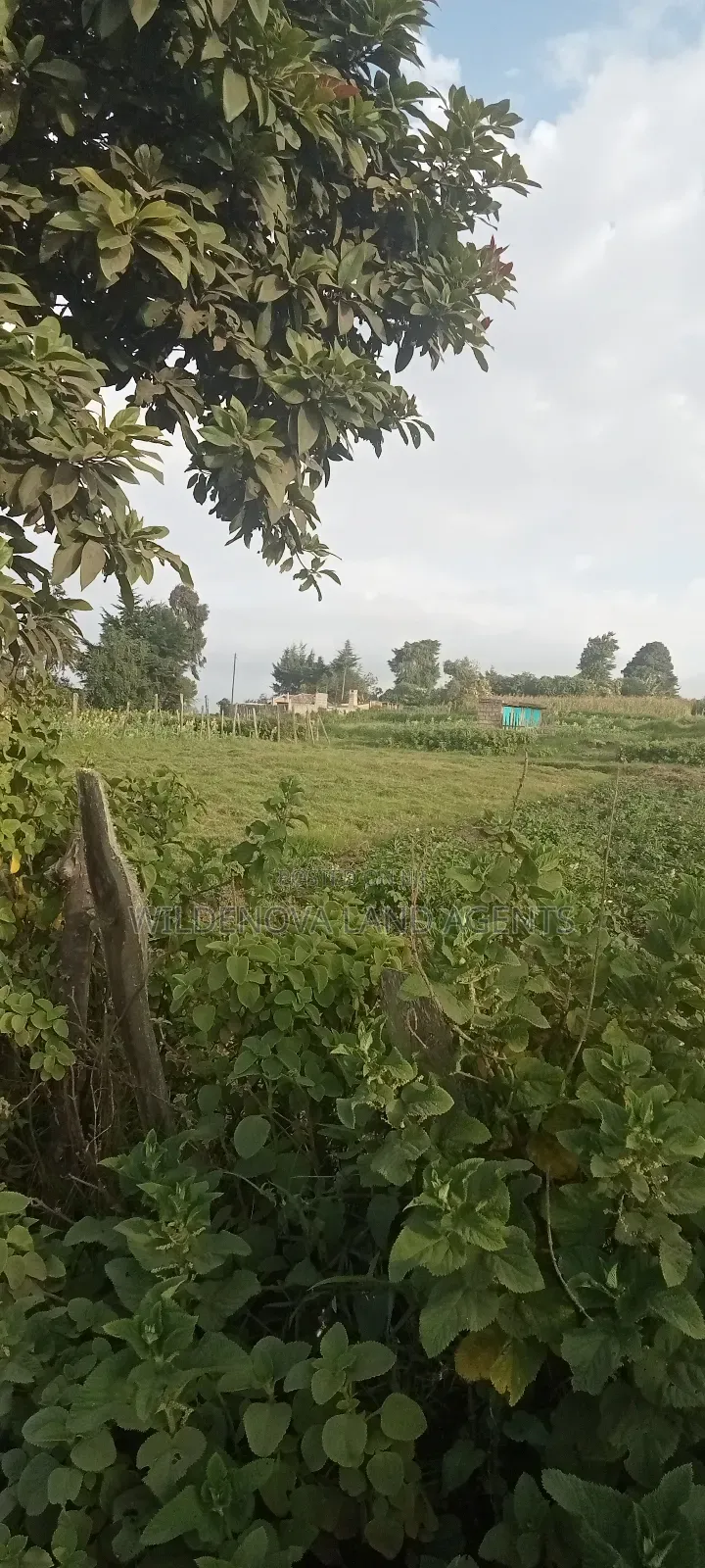 Land on Sale at Flyover Kinangop