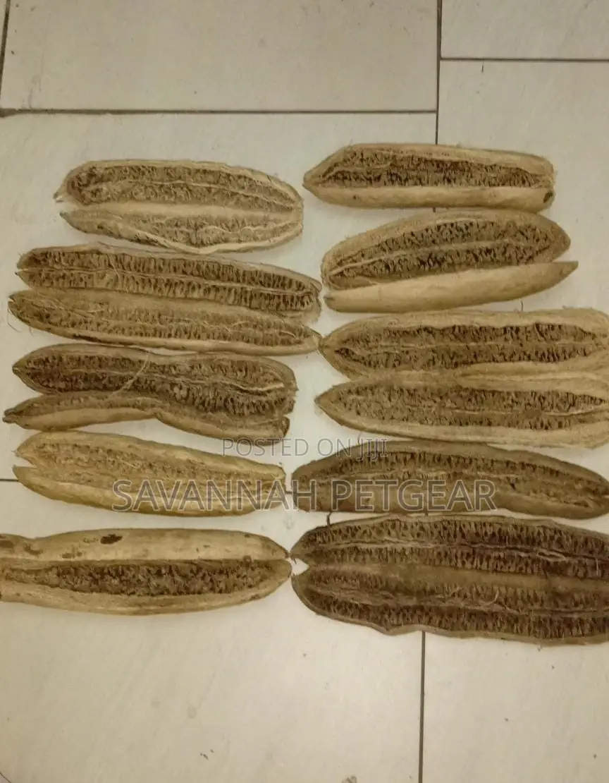 Dried Miratina Fruits Kigelia Africana Sausage Tree - 10 PCS