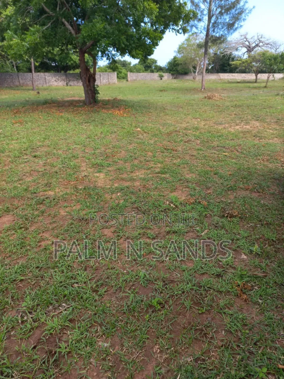 Diani Airport View Quarter Acre Plots