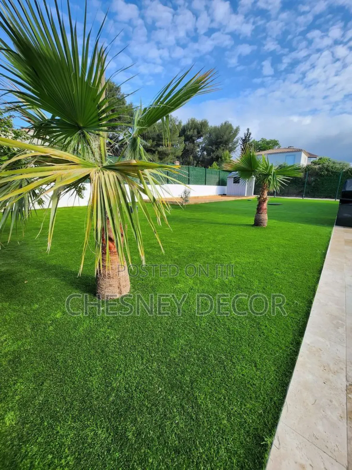 Synthetique Grass
