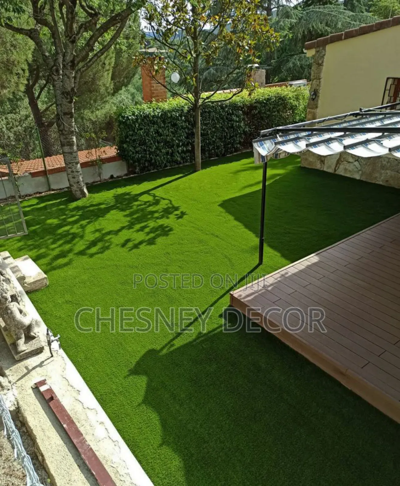 Exterior Idea Grass