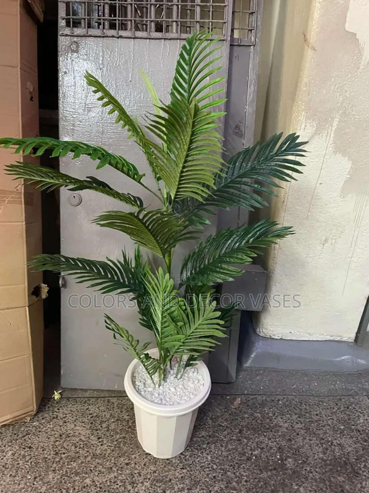 Palm With a Natural Look