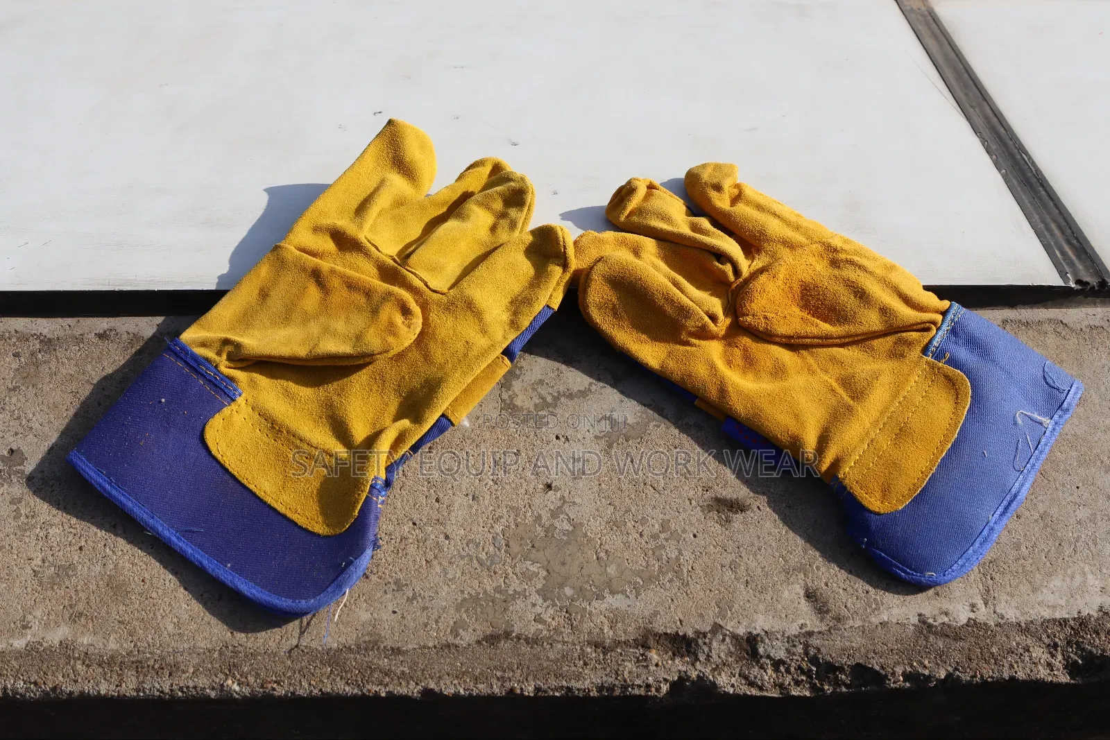 Leather Gloves (Short-cut)