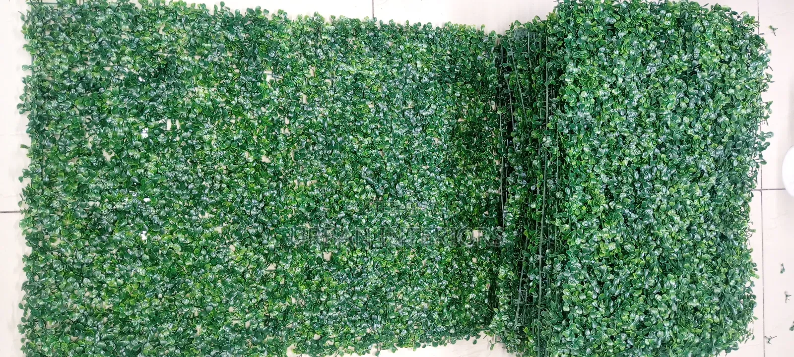 Green Hedges Green Hedges Green Hedges 40cm By 60cm