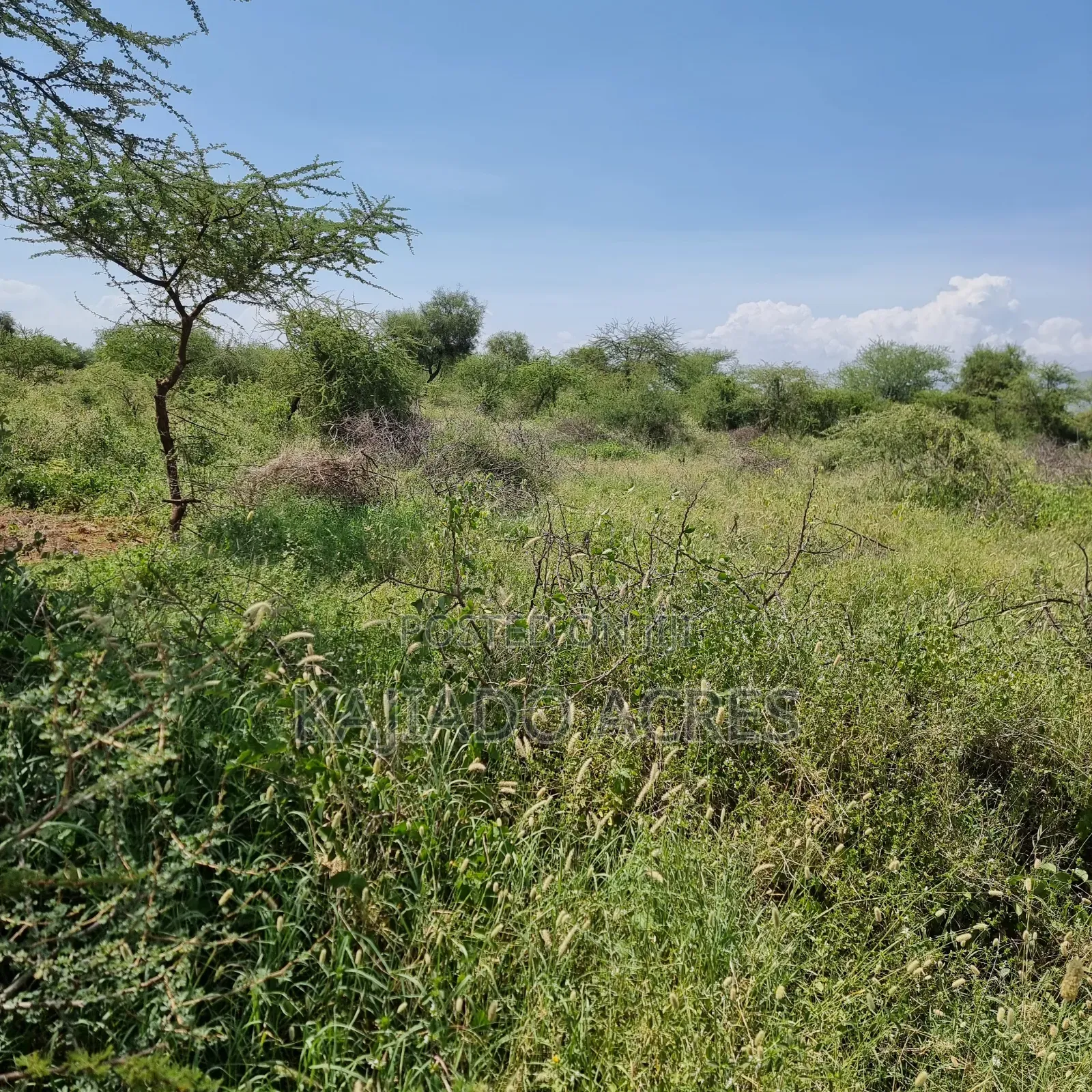Priced to Go 16 Acres Olentoko at Per Acre