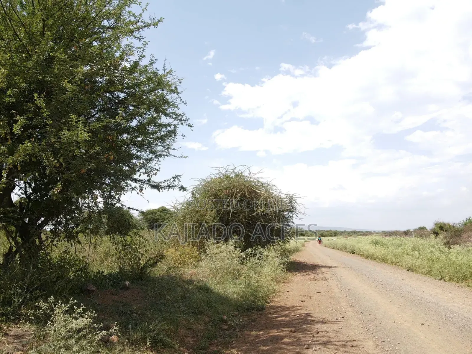 Priced to Go 16 Acres Olentoko at Per Acre